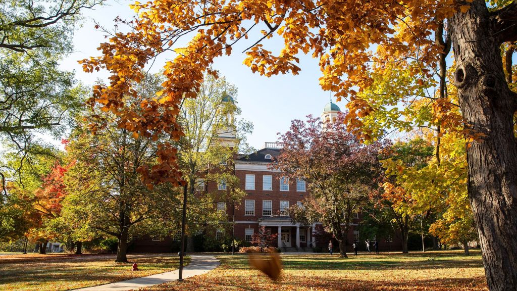 The Politics of&nbsp;Academia